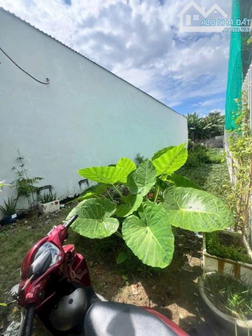 ✅ Bán đất thổ hẽm 32 Sương Nguyệt Anh thuộc Phường 4 , TP Tân An _ DT : 5 x 14m2 - 1