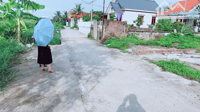 Lô đất 71,2m m2 tại quý kim ,nam đồ sơn - 1