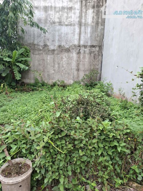 BÁN LÔ ĐẤT YÊN PHÚ LIÊN NINH 38M  SIÊU HẤP DẪN CHỈ CÓ 4.4 TỶ - 1
