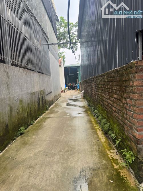 Cần tiền bán mảnh đất Hát môn diện tích 56m, lô góc hai mặt thoáng - 1