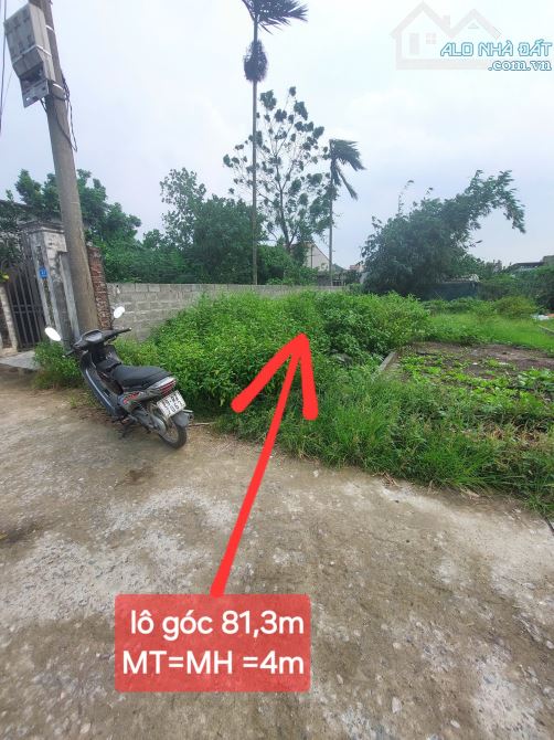 🌐Lô Góc View Hồ Đường Thông 6m 👉An Lãng - Văn Tự- Thường tín -Hà Nội  **DT 81,3 m2  **Mt - 1