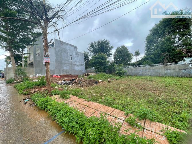 ĐẤT HẺM 92 NGUYỄN XUÂN NGUYÊN – P. TÂN AN, TP. BUÔN MA THUỘT  - Diện tích: 5m x 22,5 - 1