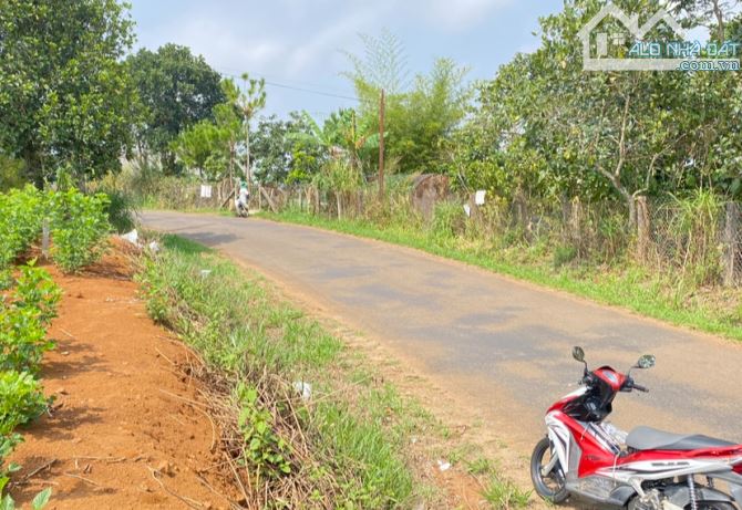 Lô góc 2 mặt tiền Trần Nhật Duật Dambri, Phường 2 Bảo Lộc👉GIÁ CỰC TỐT - 1