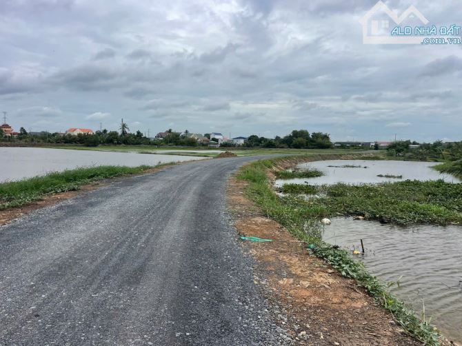 2480m2 Thổ+Lúa Mặt tiền sông Mỹ Nhân _ Mỹ Yên Bến Lức đường xe tải - 1