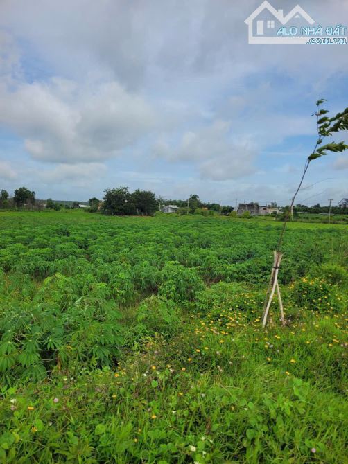 LÔ ĐẤT CỰC ĐẸP MẶT TIỀN DT992 NGHĨA THÀNH-TPHCM, THỔ CƯ, CÁCH CAO TỐC CHỈ 6KM - 1