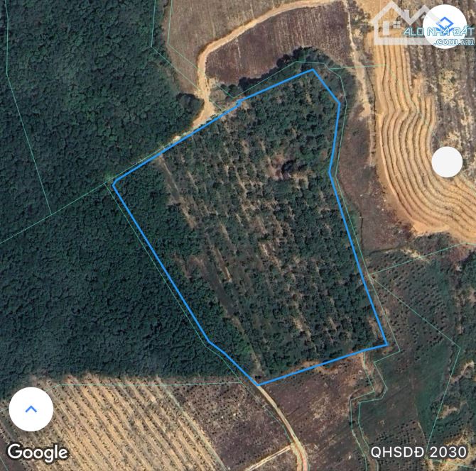 2.3ha Đồng Tâm có 310m mặt tiền giá 3.6 tỉ - 1