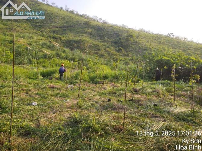 💥 BÁN ĐẤT TRỒNG CÂY XÃ PHÚ MINH, KỲ SƠN, TP. HÒA BÌNH - 1