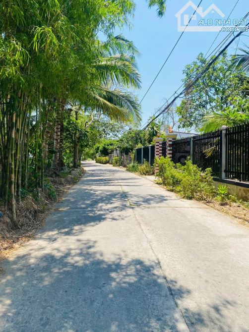 Bán nền Rạch Ông Dựa 16m x 21m đất CLN lộ oto 4m thích hợp nghĩ dưỡng trồng rau nuôi cá - 2