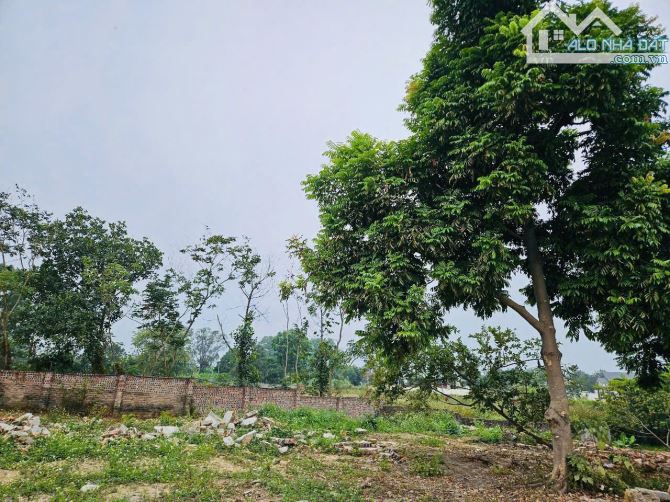 Siêu hiếm! Bán 3000m2, 300tC, thị trấn Cao Thượng, Tân Yên, Bắc Giang, - 2