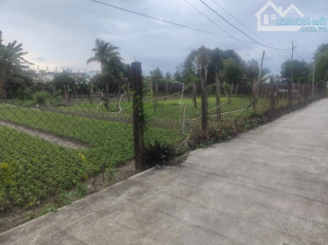 Phước Hậu Cần Giuộc 500m đất vườn phủ hồng  đường xe hơi tới đất chỉ 1tỷ3 - 8