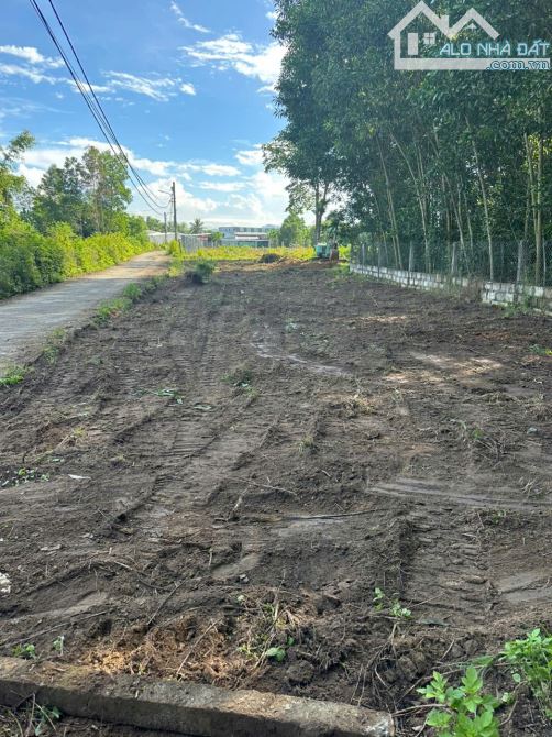 500 m² đất nhà vườn có 100 m² đất à tại Khương Mỹ - 2