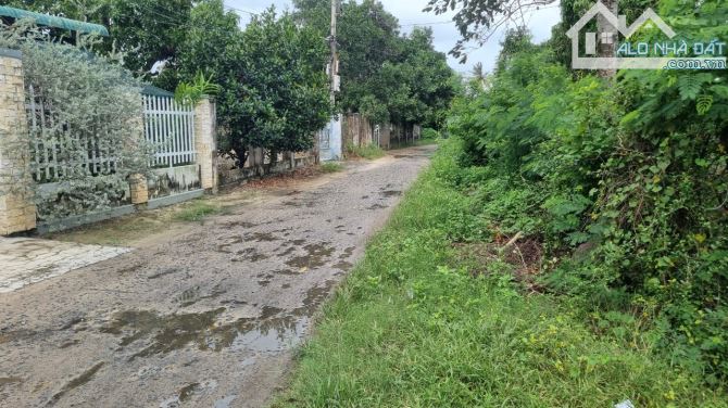 Cần bán 4190m Tân Lập, Cam Thành Bắc, Cam Lâm có 200 thổ cư giá 167 tỷ (40 tr/m) - 2