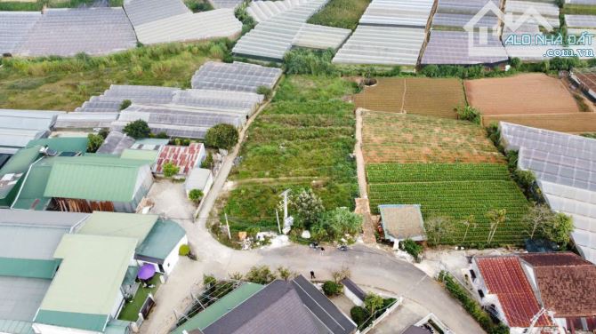 Cần bán lô đất 1100m2 Trịnh Hoài Đức - Đà Lạt. - 2