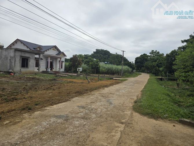 ĐẤT VEN KHU CÔNG NGHIỆP LỚN- TRUNG TÂM HUYỆN- NGAY GẦN HÀ NỘI - 2