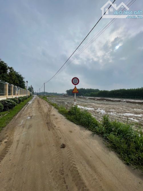 31 NỀN ĐỐI DIỆN KHU TĐC BÌNH LỢI - 2