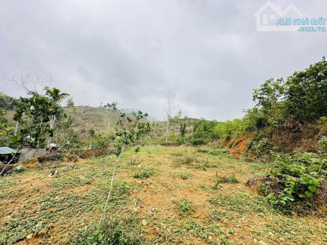 1237M2 ( 5,5 TRIỆU/M2 ) ĐẤT VIEW CÁNH ĐỒNG GẦN ĐƯỜNG CAO TỐC - 2