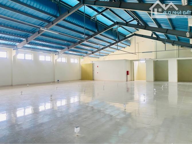 3 lô giá tốt hơn thị trường 100-300tr đối diện chợ và đường nội khu KPC Chiên Đàn - 2