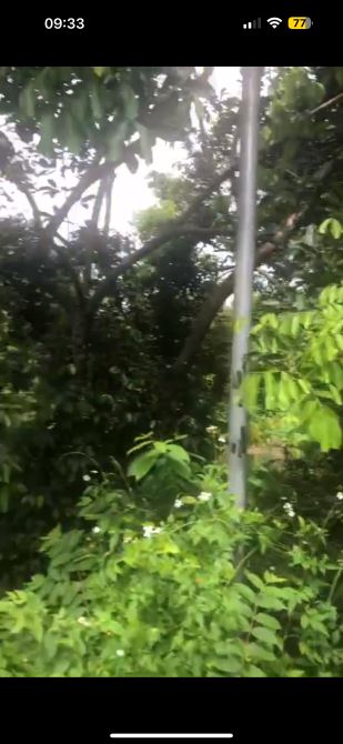 Bán vườn trái cây 3900m2 - P. Bảo Vinh - Long Khánh giá 600k/m2 - 2