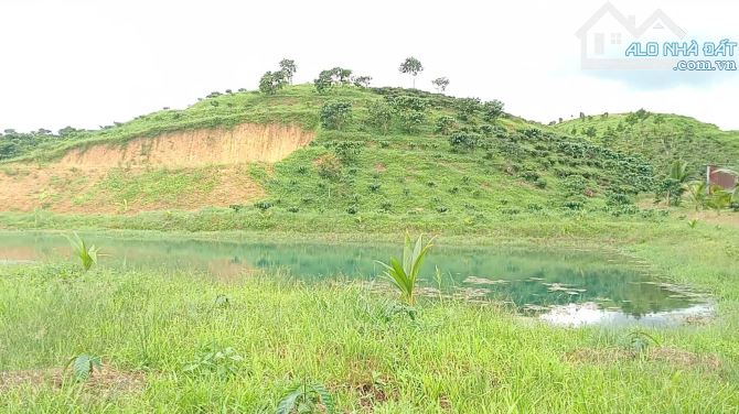 7 sào Bảo Lộc, có ao, view đẹp, nguyên quả đồi riêng - 2
