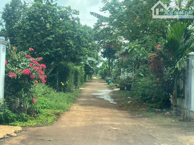 Bán đất hẻm cấp 1 Nguyễn xuân nguyên 6x30 giá bao đẹp - 2