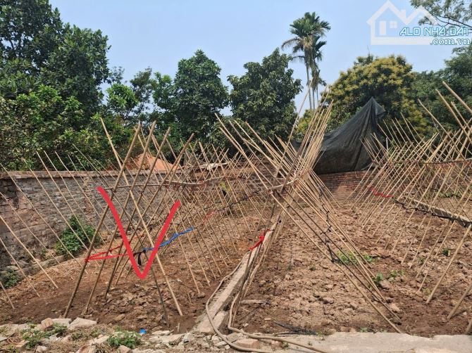 Cần tiền bán mảnh đất Tuy Lộc - Giá rẻ nhất thị trường - 2