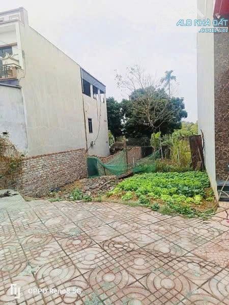 ✅ HÀNG MỚI – VỊ TRÍ KINH DOANH ĐẮC ĐỊA 📍 Mặt đường QL2B cũ – trung tâm TT. Hợp Châu, Tam - 2