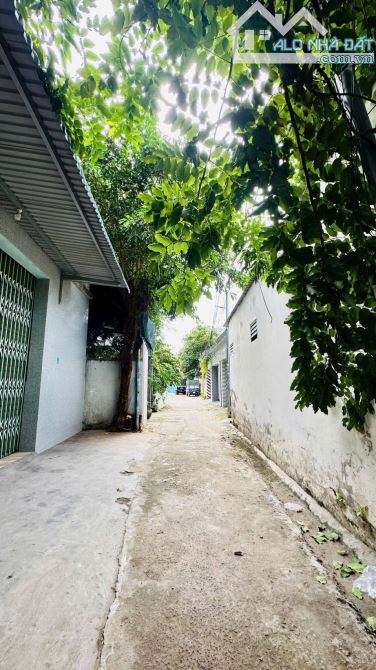 Cần chuyển nhượng dãy trọ đường hẻm Ngô Đến  Đường 4-8m rộng rãi - 2