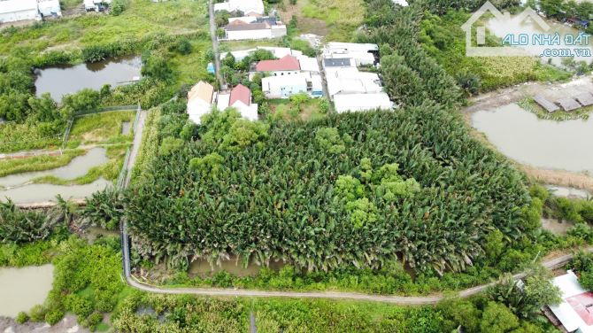 2,2tr/m2 Đất Vườn Trong KDC Nhà Bè 4000m2 Ven Rạch - 2
