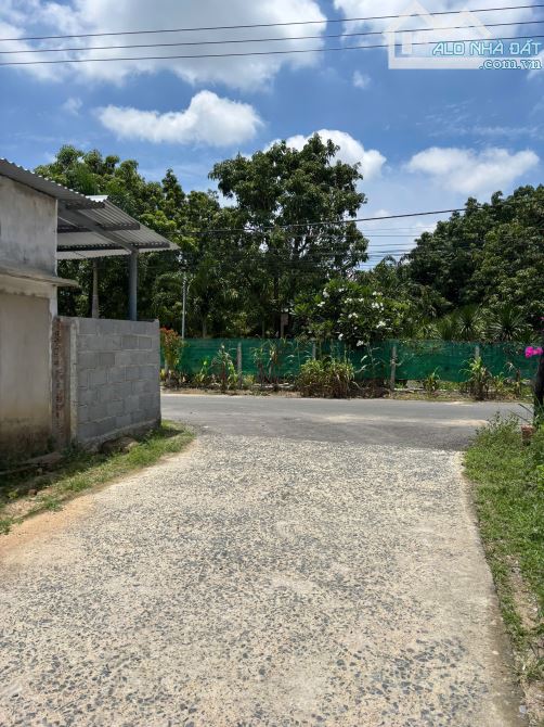 🔥 Siêu hiếm: Lô đất 107m² mặt tiền 29m trục chính Vin Cam Lâm – Giá chỉ 1,13 tỷ 🚀 - 2