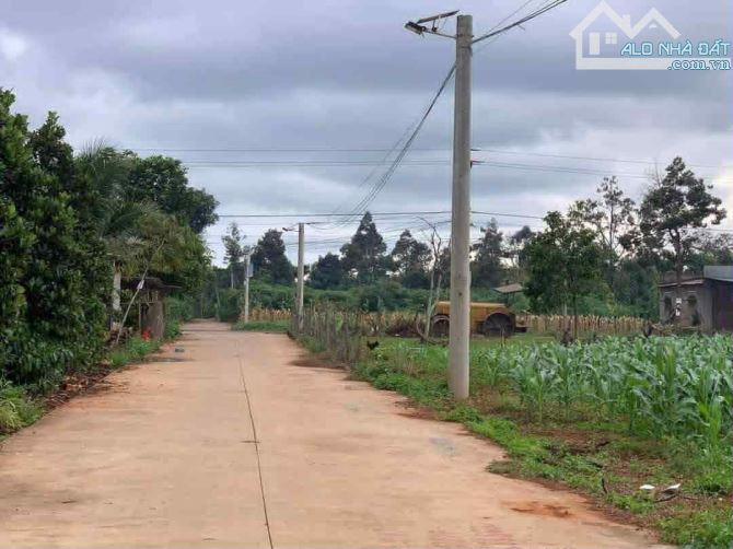 Bán gấp chính chủ thôn 3 cusue - 2