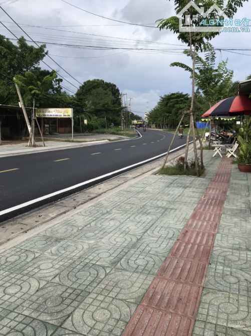 1000m2 Đất Thổ Cư MT Ngô Quang Thắm Đối Diện trường Quốc Tế Việt Mỹ AIS - 2