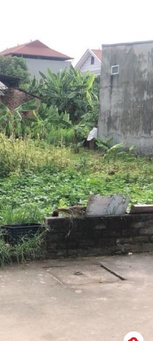 💥 Bán đất 224m², chỉ 20tr/m² – Trung tâm Sóc Sơn 💥 📍 Thôn Miếu Thờ , xã Sóc Sơn – Các - 2