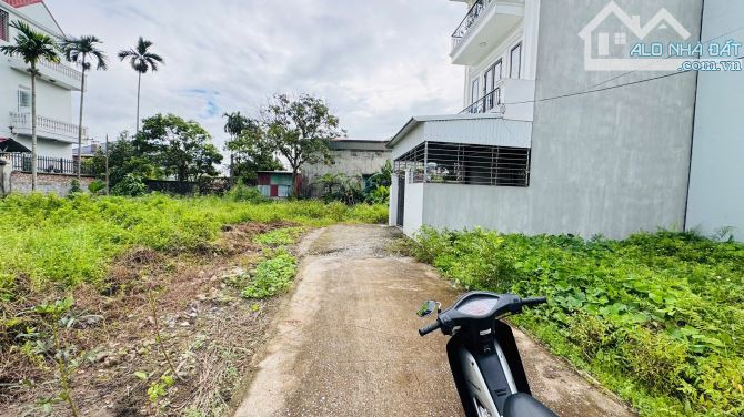 HẠ GIÁ HƠN 100TR LÔ ĐẤT 60M2 NGANG 4,7M TẠI LƯƠNG QUI, AN DƯƠNG, HP. - 2