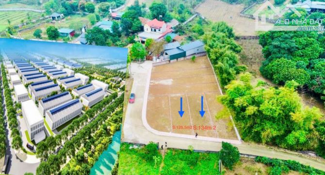 CẦN BÁN 134M SÁT KCN NHUẬN TRẠCH LƯƠNG SƠN HB 1,X TỶ - 2