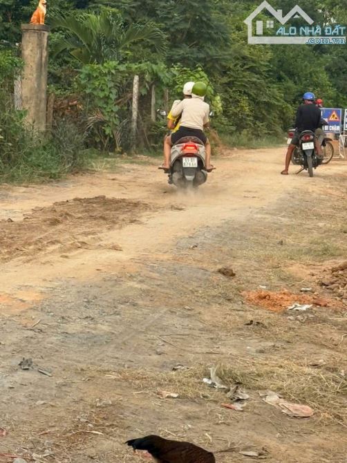 Đất gần VinCom Dĩ An, phường An Phú, TP Thuận An - 2