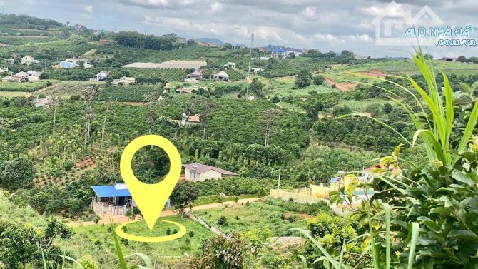 Đất nghỉ dưỡng ven Đà Lạt sẵn thổ cư và cây ăn trái - 2