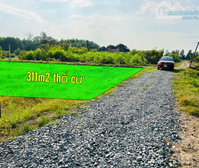 Thanh lý ngân hàng 311m2 thổ cư, không cần xuống tiền, Hỗ trợ trả dần lâu dài - 2