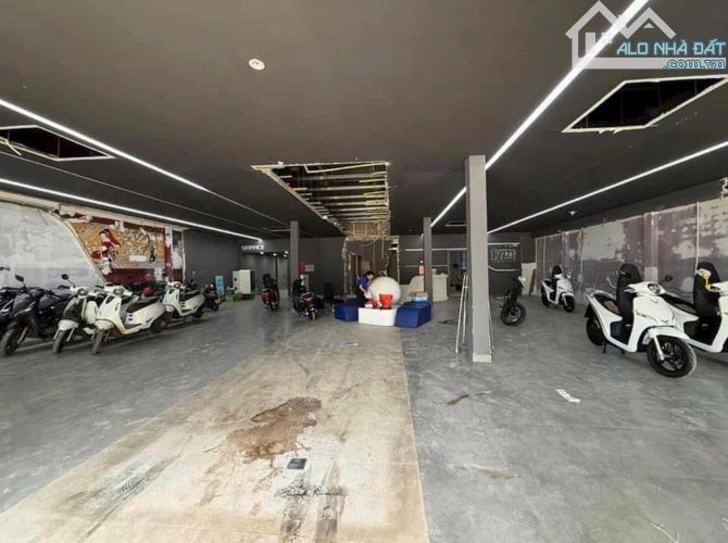Hàng Hiếm 805m2 Mặt Tiền Kinh Doanh Lê Hồng Phong♻️Giá 60tỷ - 2