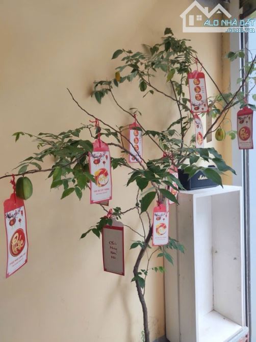 Phú Nhuận, giáp Phan Xích Long, 4 Tầng,42m2, hẻm 7m xe hơi, Ở/Kd, 7.95 Tỷ - 2