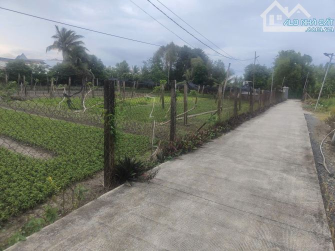 Phước Hậu Cần Giuộc 500m đất vườn phủ hồng  đường xe hơi tới đất chỉ 1tỷ3 - 9