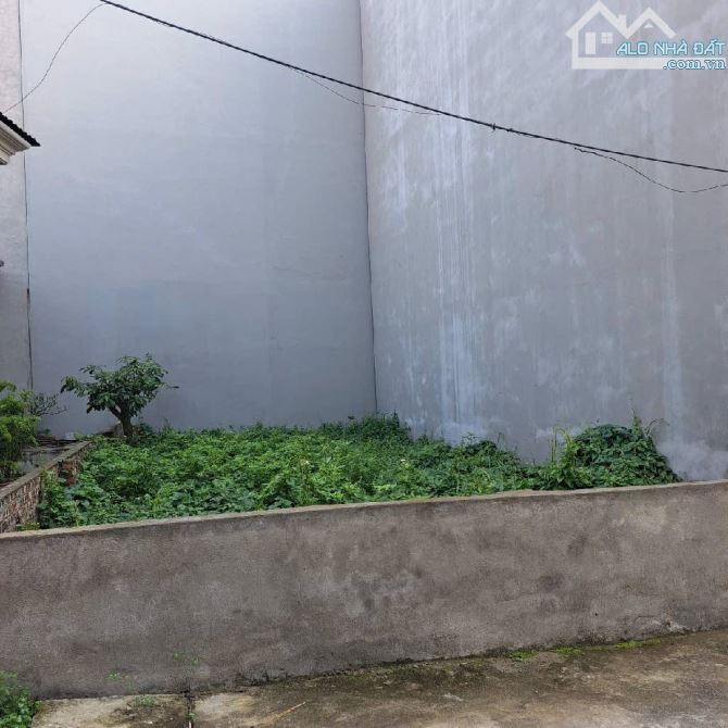 Bán 59m2 đất bát khối Lòng Biên , ngõ rộng 4,2m đất đẹp giá hợp lý - 3