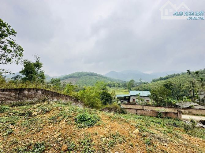 1237M2 ( 5,5 TRIỆU/M2 ) ĐẤT VIEW CÁNH ĐỒNG GẦN ĐƯỜNG CAO TỐC - 3