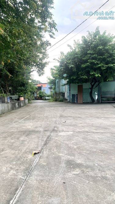 Bán ĐẤT Hẻm Xe Tải đường số 12 TAM BÌNH THỦ ĐỨC DT: 135m2 Giá 6.9 Tỷ TL - 3