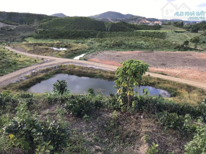 7 sào Bảo Lộc, có ao, view đẹp, nguyên quả đồi riêng - 3