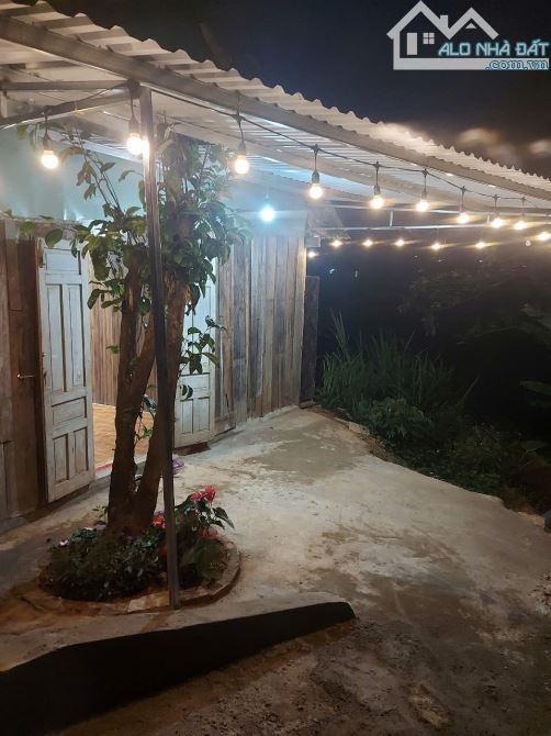 BÁN ĐẤT TẶNG NHÀ GỖ ĐƯỜNG HUYỀN TRÂN CÔNG CHÚA PHƯỜNG 4, ĐÀ LẠT - 3