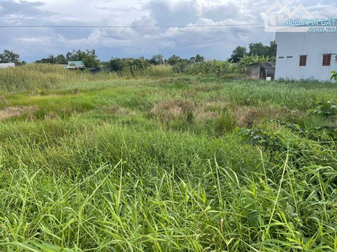 2100m2 đất lúa mặt tiền đường nhựa Rạch Tre xã An Thạnh, Bến Lức, Long An giá 13,7 tỷ - 3