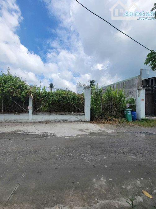 ĐẤT KHỦNG FULL THỔ CƯ – THẠNH XUÂN 33, Q12 – DT GẦN 1.200M² – XE TẢI VÀO TẬN NƠI - 3
