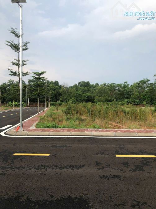 ĐẤT ĐẸP TRUNG TÂM HÒA LẠC – GẦN METRO 5, CNC & ĐHQG - 3