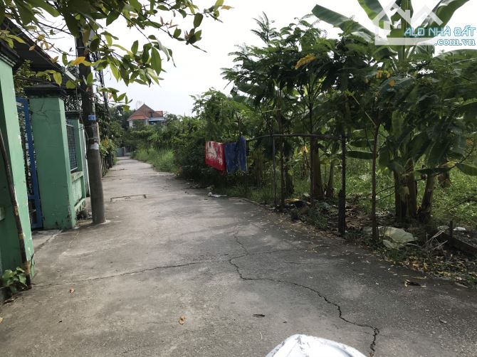 2,2tr/m2 Đất Vườn Trong KDC Nhà Bè 4000m2 Ven Rạch - 3