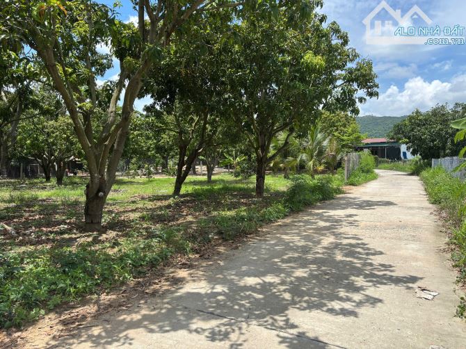 🔥 Siêu hiếm: Lô đất 107m² mặt tiền 29m trục chính Vin Cam Lâm – Giá chỉ 1,13 tỷ 🚀 - 3